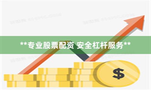 **专业股票配资 安全杠杆服务**